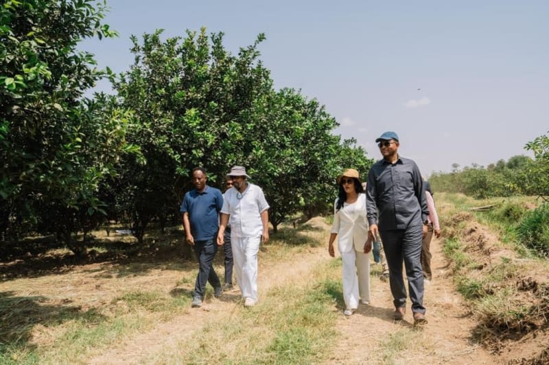 Ethiopia Turns Dry Land Into Fruit Farms With Irrigation