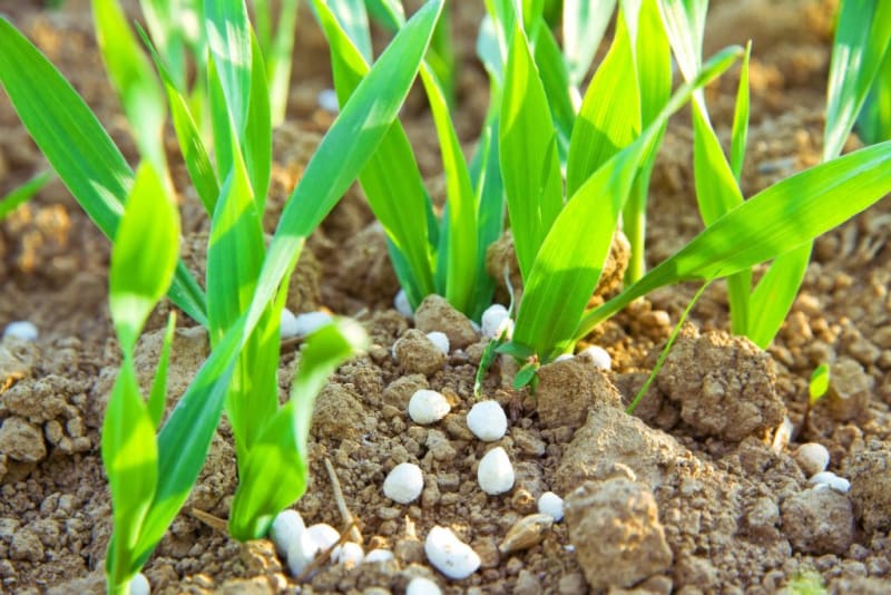 EU Cuts Fertilizer Tariffs to Help Farmers Save €60M