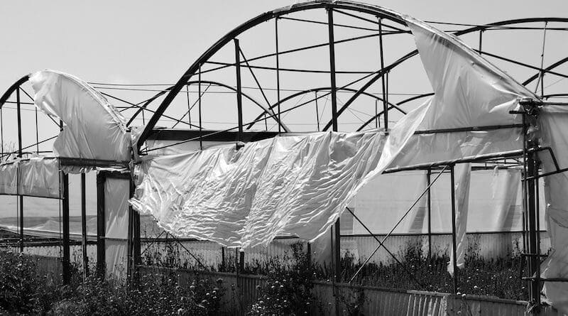 China Turns 26M Tons of Farm Waste Into Climate Solution - Image 2