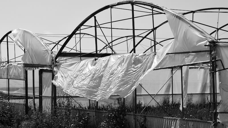 China Turns 26M Tons of Farm Waste Into Climate Solution