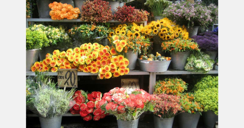 UAE Flower Festival Honors Agricultural Innovation