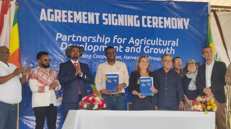 Ethiopia and Brazil Partner to Transform Coffee Innovation