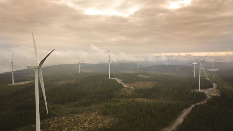 Mars Secures 70% of Sweden's Giant Wind Farm Output