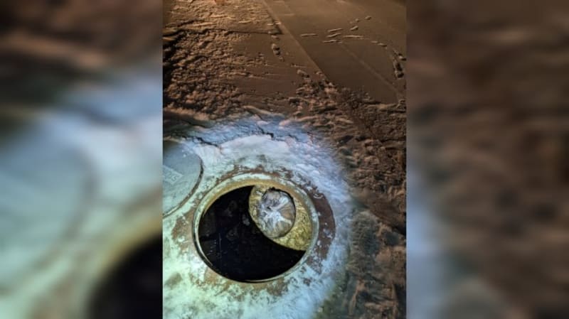 Firefighters Save Dog Trapped in Frozen Storm Drain - Image 2