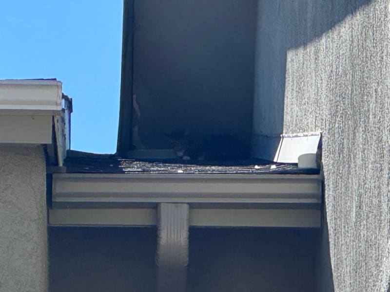 Colorado Firefighters Rescue Cat Stuck on 3-Story Roof - Image 3