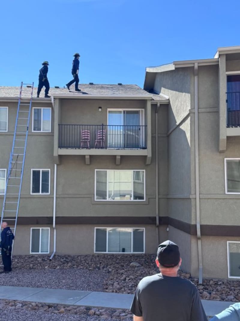 Colorado Firefighters Rescue Cat Stuck on 3-Story Roof - Image 4