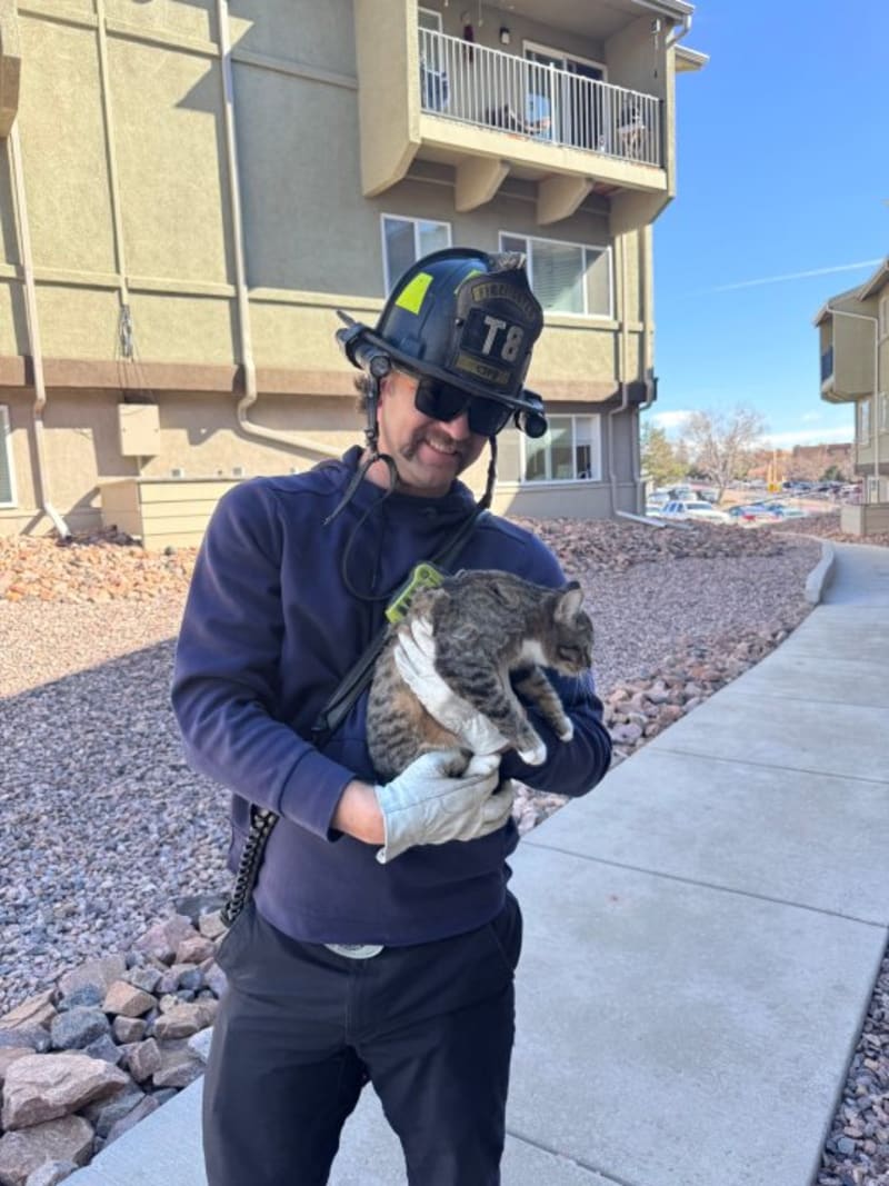 Colorado Firefighters Rescue Cat Stuck on 3-Story Roof - Image 5