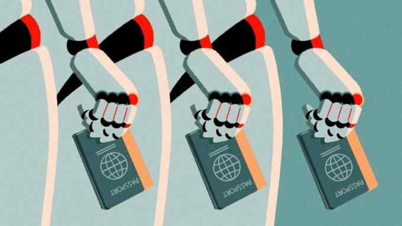 Scientists Create Amazing Color-Changing Skin Inspired by Octopuses - Image 5