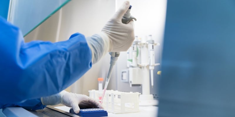 Laboratory petri dish showing clear patches where AI-designed virus destroyed E. coli bacteria