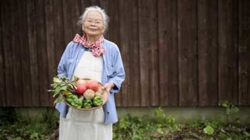 Scientists Use Sound to Plant Dream Ideas, Boost Problem-Solving - Image 2