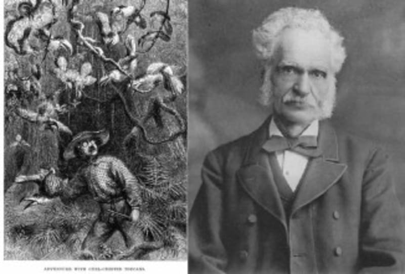 John Williams Turns 94, Still Composing Film Magic - Image 2