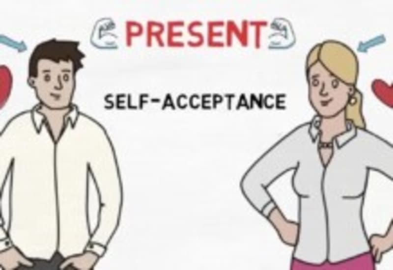 Florida Zoo Saves Wild Rhino's Sight in Two Weeks - Image 4