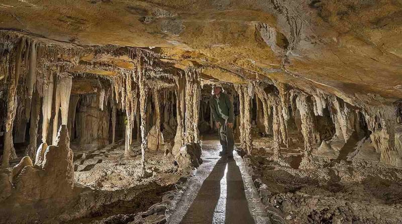 Nevada's Lehman Caves Became National Treasure 104 Years Ago
