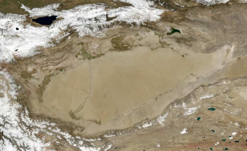 China Plants 66B Trees, Turns Desert Into Carbon Sink - Image 3