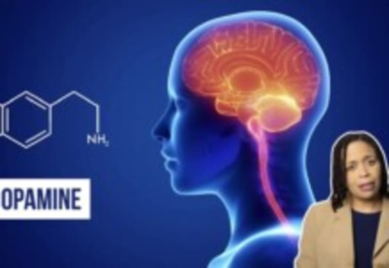 Florida Zoo Saves Wild Rhino's Sight in Two Weeks - Image 3