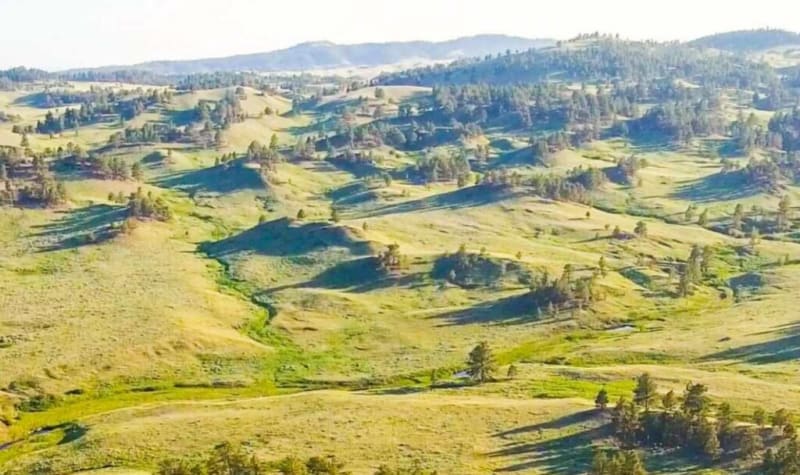 Montana Conservation Heroes Free the Prairie: 100 Miles of Fencing Removed! - Image 3