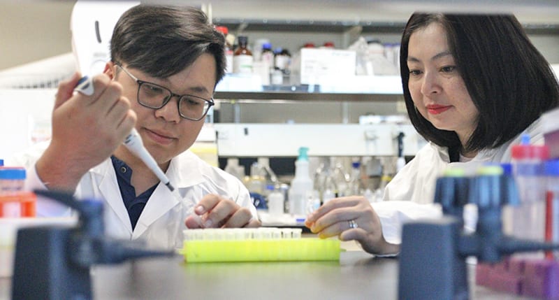 Breakthrough: Scientists Unlock Nature's Cancer-Fighting Molecular Secrets