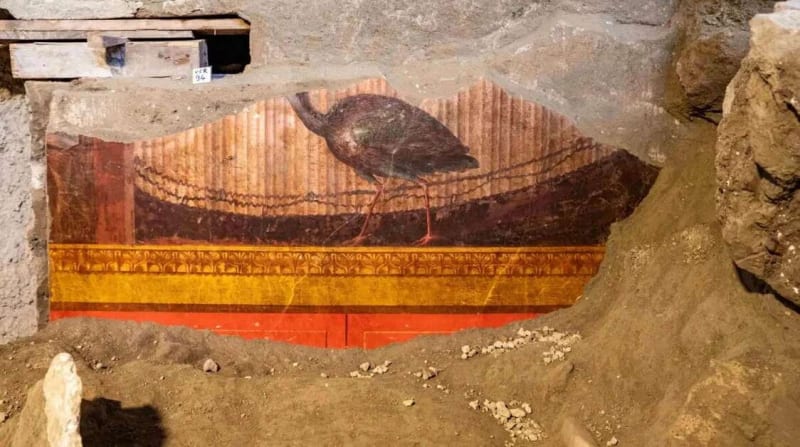 Hidden Treasures Emerge: Nero's Wife's Villa Reveals Stunning Peacock Frescoes in Pompeii