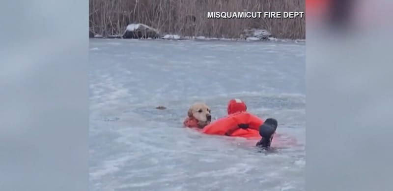 Brave Firefighters Save Golden Retriever in Heartwarming Ice Rescue - Image 2