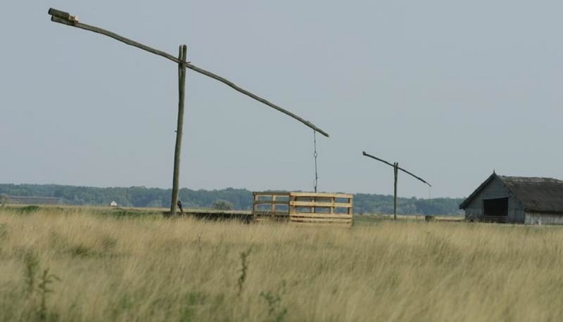 Hungarian Spa Water Becomes Miracle Solution to Grassland Desertification