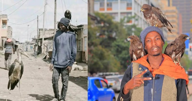 Homeless Man Becomes 'Nairobi Birdman' Saving Injured Birds