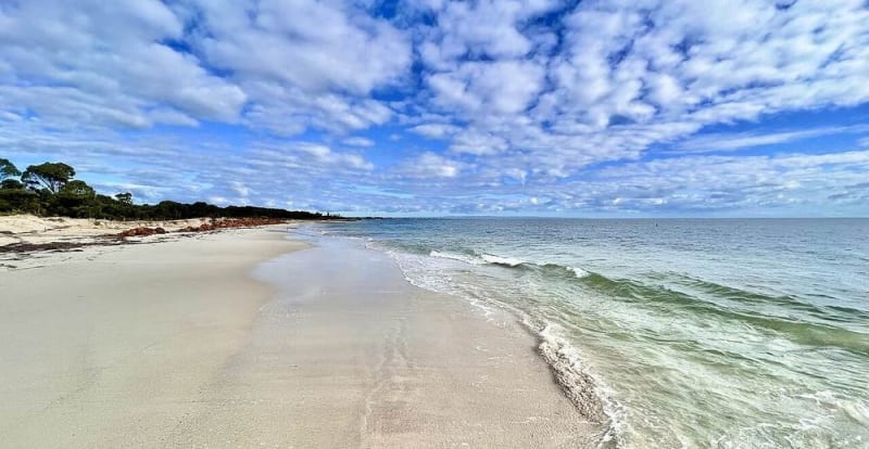 Teen Swims 4 Hours Through Rough Seas to Save Family