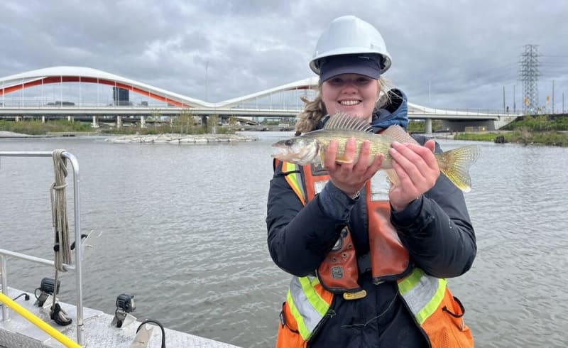 Toronto River That Caught Fire Now Teems With Salmon
