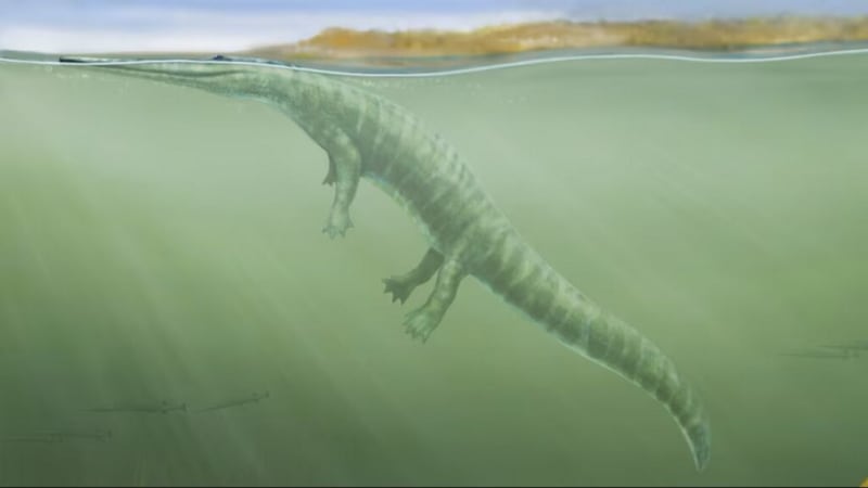 Lost 250M-Year-Old Fossils Rewrite Amphibian History - Image 2