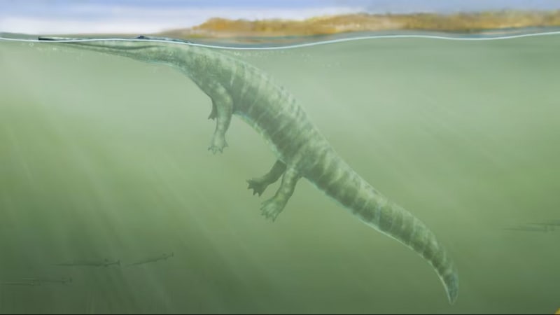 Lost 250M-Year-Old Fossils Rewrite Amphibian History