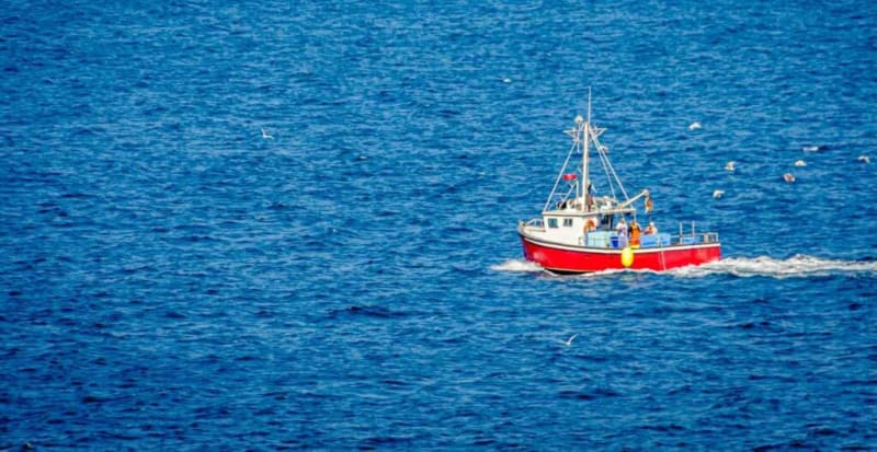 California Rebuilds 90+ Fish Stocks in 25 Years - Image 2