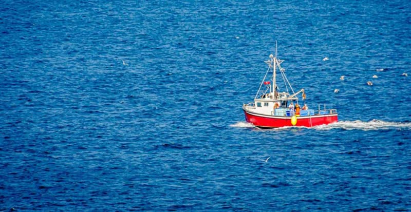 California Rebuilds 90+ Fish Stocks in 25 Years