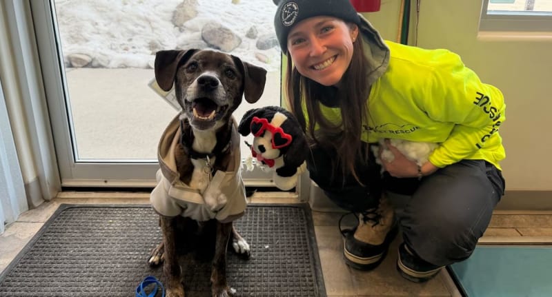 Dog Survives 43 Days in Rocky Mountains, Returns Home