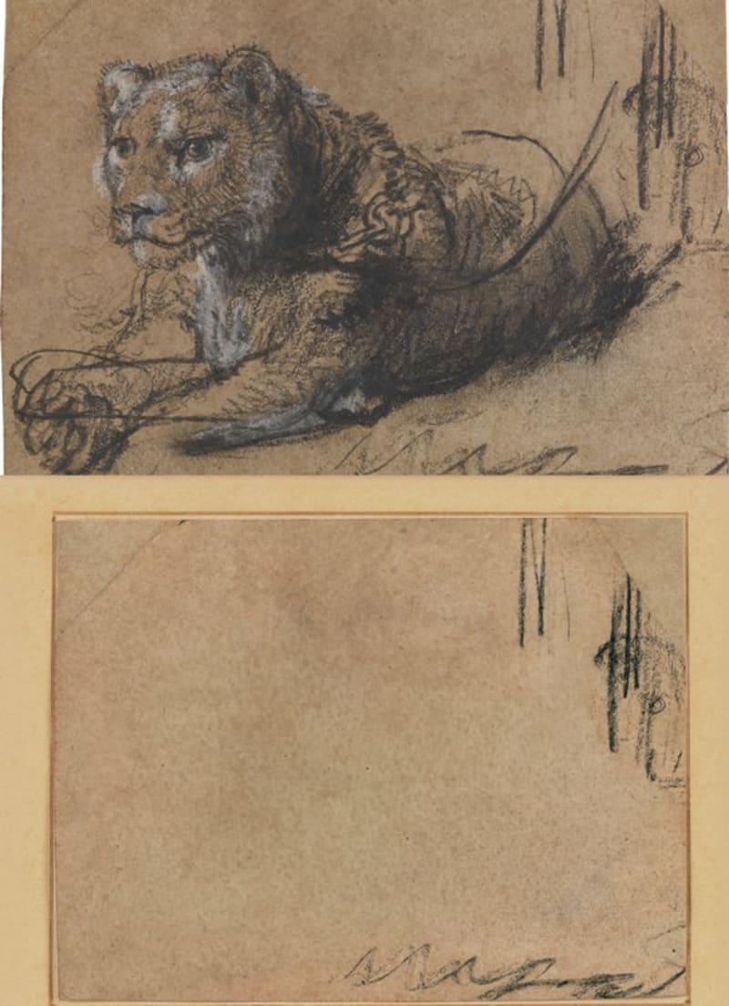 Billionaire Sells $18M Rembrandt to Save Wild Lions - Image 3