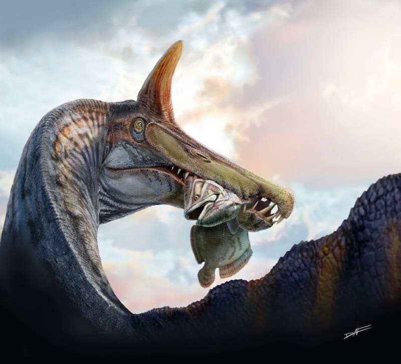 New Scimitar-Crested Dinosaur Found in Sahara Desert - Image 2