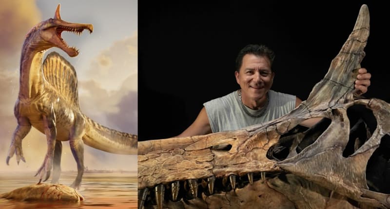 New Scimitar-Crested Dinosaur Found in Sahara Desert