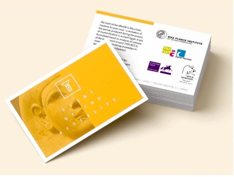 Scientists Recreate 3,500-Year-Old Egyptian Scents - Image 3