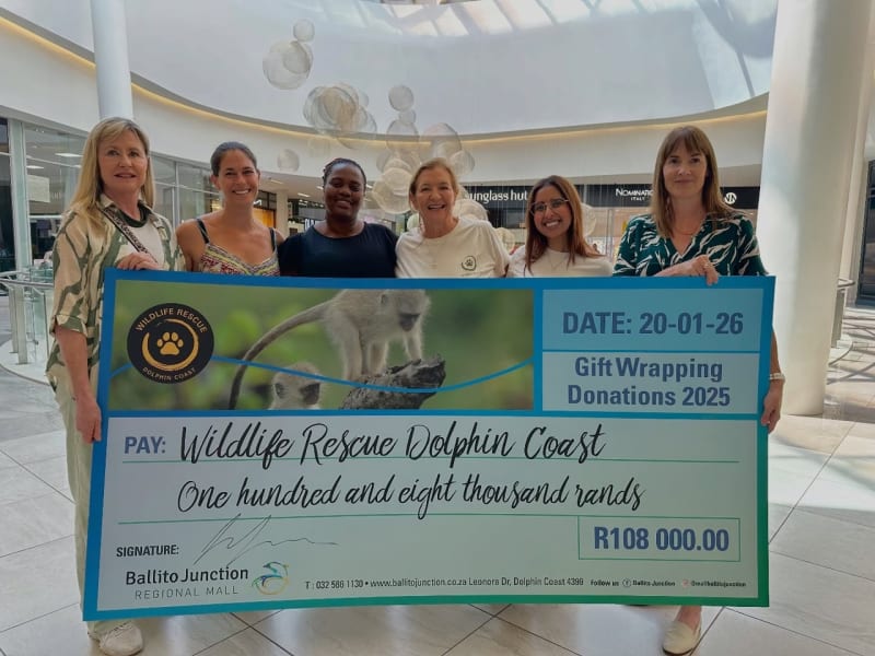 Gift Wrappers Raise $27K for South African Wildlife Rescue - Image 3
