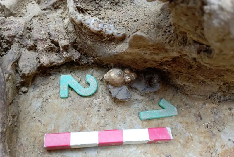 Electric Car Plant Unearths Ancient Avar Cemetery in Hungary