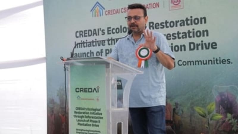 India's Real Estate Group to Reforest 250,000 Acres - Image 2