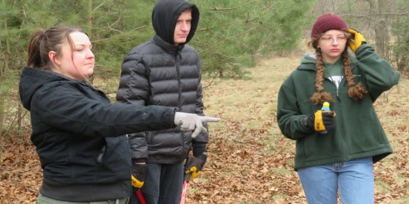 Michigan Park Invites Volunteers to Restore Dunes Habitat - Image 2