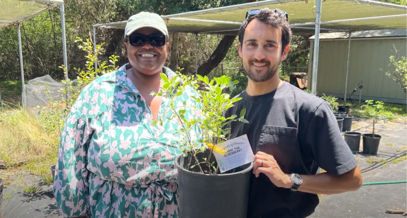 Santa Barbara Gives Away Free Trees to Fight Climate Change