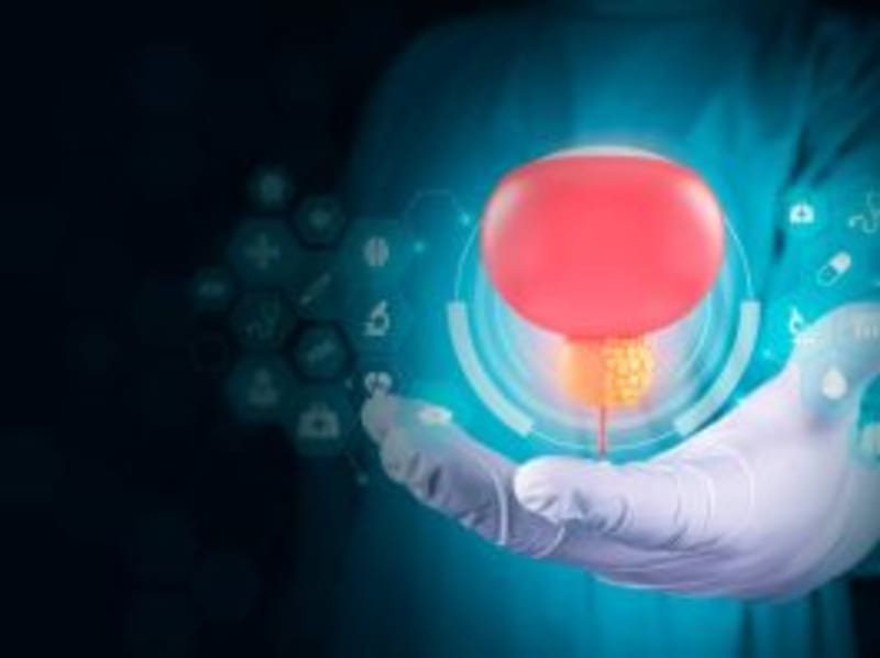 Scientists Create Breakthrough Four-Pronged Antibodies That Supercharge Cancer-Fighting Cells - Image 3