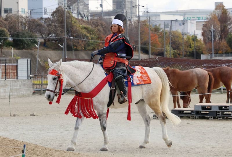 Osaka Horse Park Celebrates and Preserves Rare Japanese Dosanko Breed
