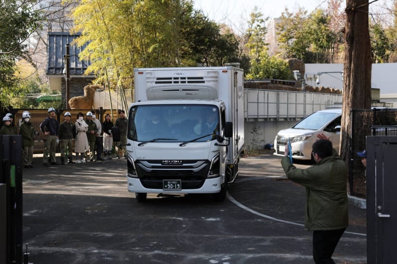 Japan's Last Two Pandas Head Home to China - Image 3