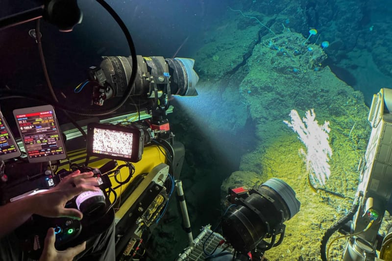 Scientists Explore Deep Sea in Submersibles Off Indonesia - Image 5