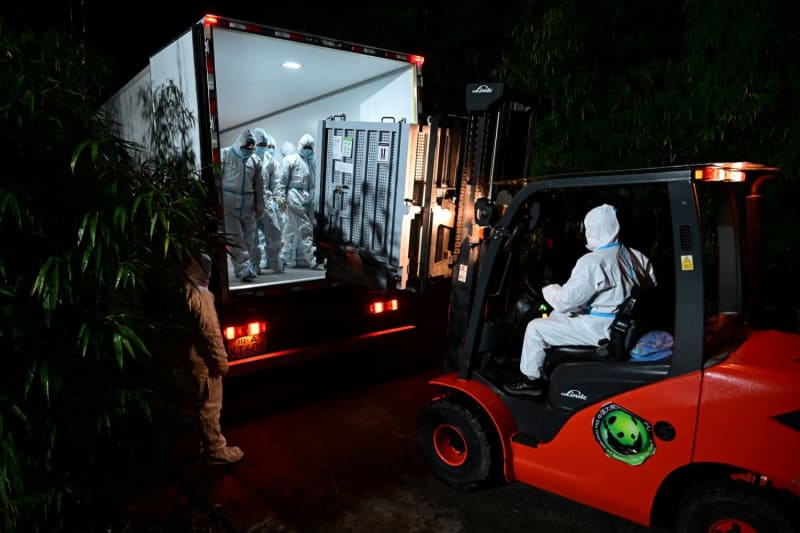 Twin Pandas Return to China After Tokyo Fans Say Goodbye - Image 3
