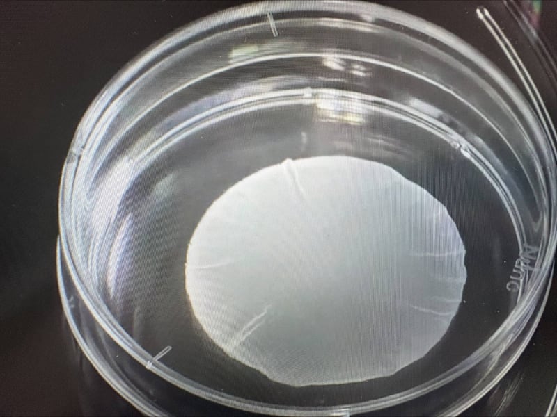 Japan Approves World's First iPS Cell Medical Products