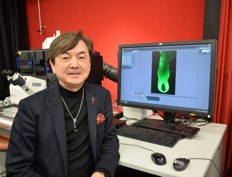 Japan Discovers Missing Cell That Regrows Hair Naturally
