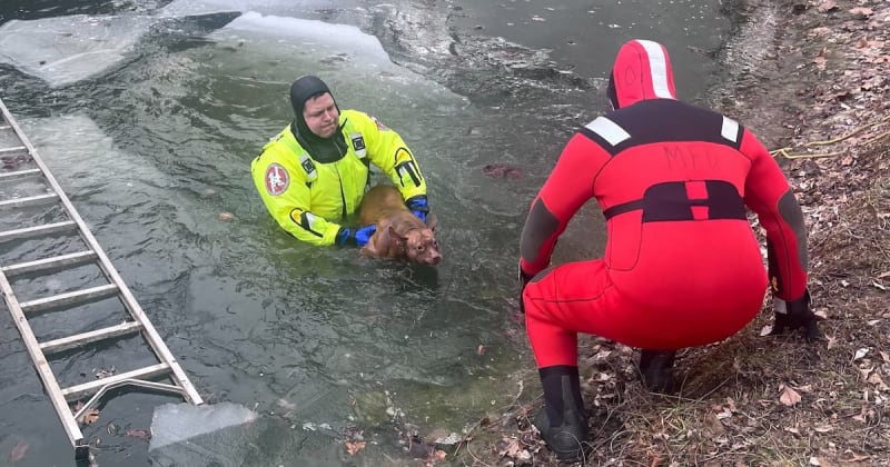 Small wet puppy rescued from frozen pond by Middletown firefighter in Ohio
