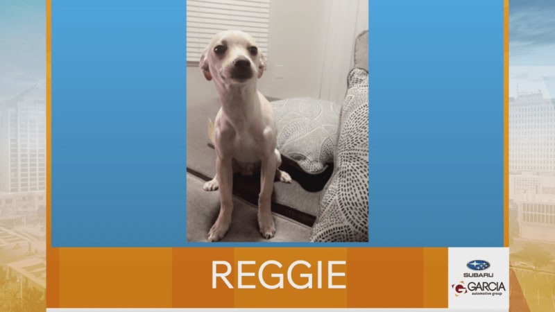 Las Cruces Man Thrives 5 Years After Rare Lung Transplant - Image 3